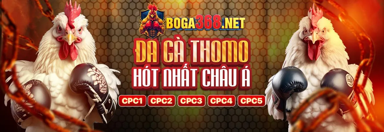 Đá gà trực tuyến kịch tính tại zabet nhà cái